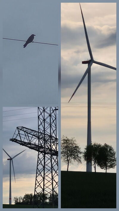 "Klimaschutz" Fotomontage Rabe, Windrad, Hochspannungsmast © Holger Reuter 2026